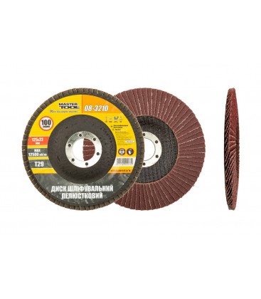 Kotúč brúsny lamelový MASTERTOOL Т29 P100 125*22 mm 08-3210