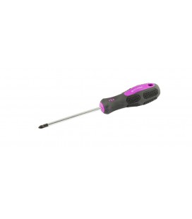 Skrutkovač Pozidriv magnetický MASTERTOOL PZ1*100 mm 48-5710