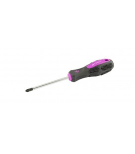 Skrutkovač magnetický MASTERTOOL Pozidriv PZ2*100 mm 48-5910