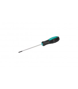 Skrutkovač magnetický MASTERTOOL TORX TT 10*100 mm 49-0101