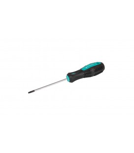 Skrutkovač magnetický MASTERTOOL TORX TT 15*100 mm 49-0151