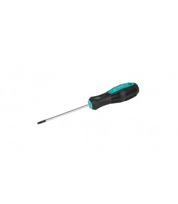 Skrutkovač magnetický MASTERTOOL TORX TT 15*100 mm 49-0151