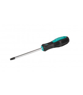 Skrutkovač magnetický MASTERTOOL TORX TT40*125 mm 49-0401