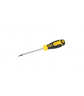 Skrutkovač magnetický MASTERTOOL TA2*100 mm 49-3210